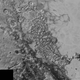 Image for article titled We Finally Think We Know What Caused Pluto’s Weird, Bumpy Plains